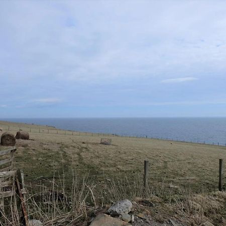 Bed and Breakfast Fabulous Location With Sea And Castle View - Nc500 Keiss Экстерьер фото