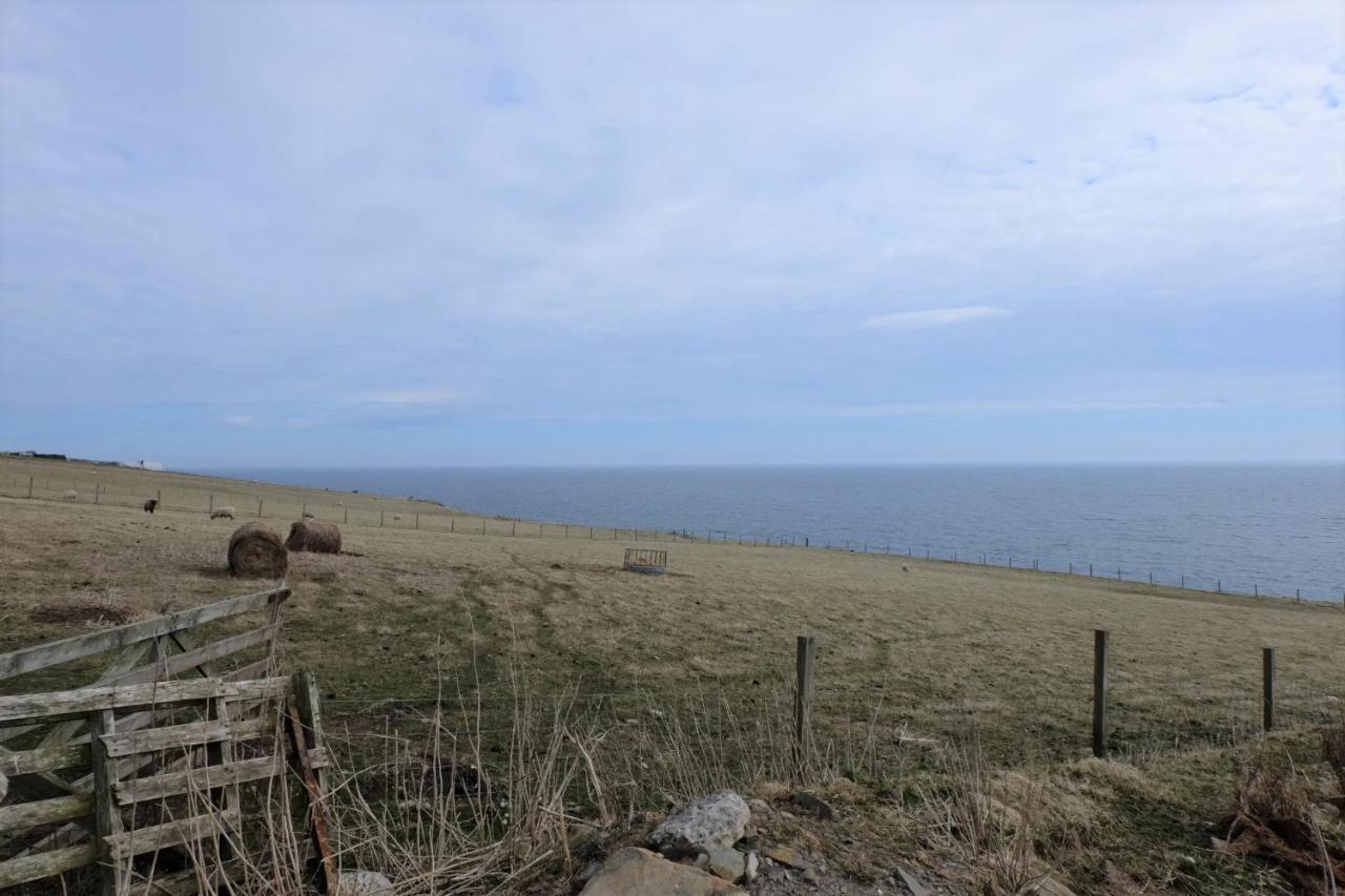 Bed and Breakfast Fabulous Location With Sea And Castle View - Nc500 Keiss Экстерьер фото